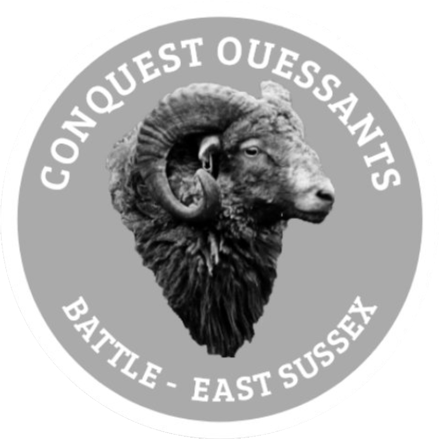 Conquest Ouessant Sheep